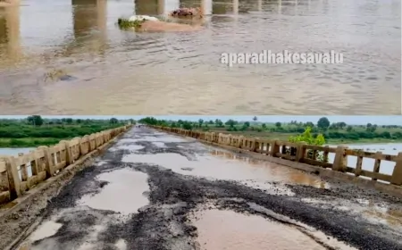 ನಾಳೆ ಭೀಮಾ ಸೇತುವೆ ಮೇಲೆ ರಸ್ತೆ ತಡೆದು ಪ್ರತಿಭಟನೆ