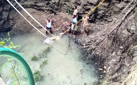 ಬಾವಿಗೆ ಬಿದ್ದಿದ್ದ ಆಕಳು ರಕ್ಷಣೆ