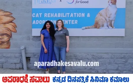 ಬೆಂಗಳೂರಿನಲ್ಲಿ "ಅನಾಥ ಬೆಕ್ಕುಗಳ ಆಶ್ರಯ ಮತ್ತು ದತ್ತು ಕೇಂದ್ರ"