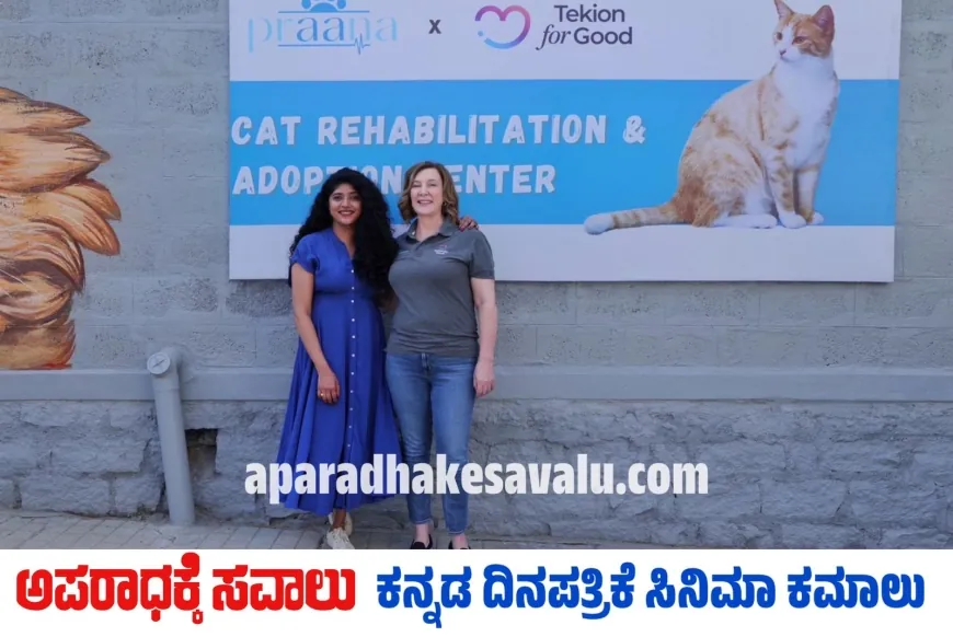 ಬೆಂಗಳೂರಿನಲ್ಲಿ "ಅನಾಥ ಬೆಕ್ಕುಗಳ ಆಶ್ರಯ ಮತ್ತು ದತ್ತು ಕೇಂದ್ರ"