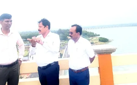 ಆಲಮಟ್ಟಿಗೆ ಡಿಸಿ ಡಾ.ಆನಂದ ಕೆ. ಭೇಟಿ : ಮಳೆಯಿಂದ ಬೆಳೆ ಹಾನಿ ಕುರಿತು ಶೀಘ್ರ ಜಂಟಿ ಸಮೀಕ್ಷೆ