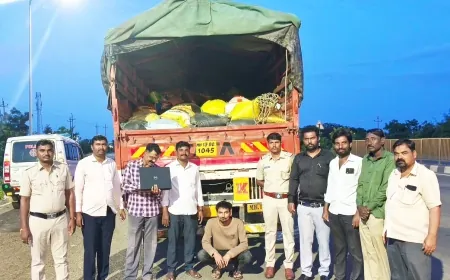 ಅಕ್ರಮ ಅಕ್ಕಿ ಸಾಗಾಟ : ಆಹಾರ ಇಲಾಖೆ ದಾಳಿ : ಅಕ್ಕಿ ವಶ