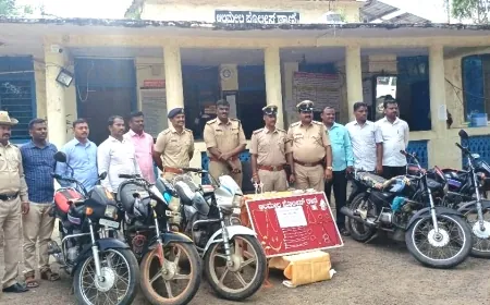 ಮನೆಕಳವು ಪ್ರಕರಣ ಭೇದಿಸಿದ ಆಲಮೇಲ ಖಾಕಿ ಪಡೆ : ಇಬ್ಬರು ಆರೋಪಿಗಳ ಬಂಧನ : ೧೦.೫೨ ಲಕ್ಷ ಮೌಲ್ಯದ ಚಿನ್ನ ವಶ