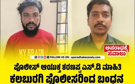 ಗೆಳತಿಯೊಂದಿಗೆ ಲಿವಿಂಗ್ ಟುಗೆದರ್ ನಡೆಸಲು ಕಳ್ಳತನ ಸುಲಿಗೆ ಓರ್ವನ ಬಂಧನ